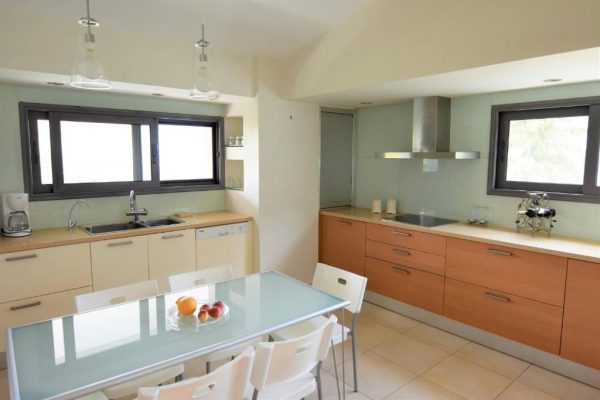 Villa 1 with pool_kitchen