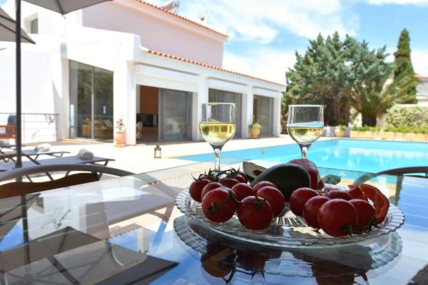 Villa 1 with pool_relax time