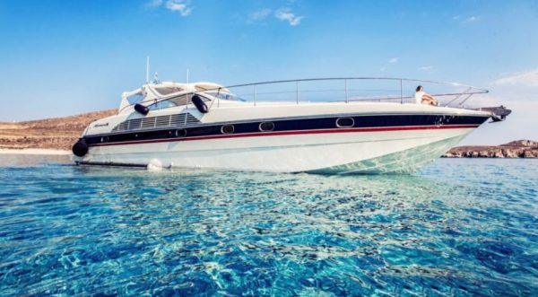 Alfamarine 50 - Image 2