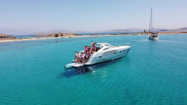 Alfamarine 50 Open - Image 2