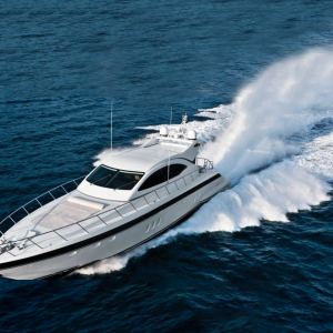 Mangusta 72