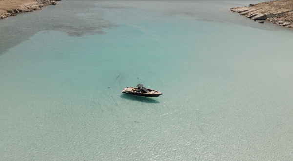 Skipper 42 - Image 4